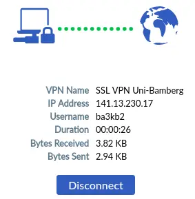 Ansicht VPN Status