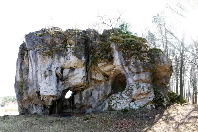 Am Hohlen Stein bei Schwabthal hat ein arch?ologisches Team der Universit?t Bamberg ca. 4.600 Jahre alten Pferdeknochen mit sehr guter Erhaltung alter DNA gefunden.