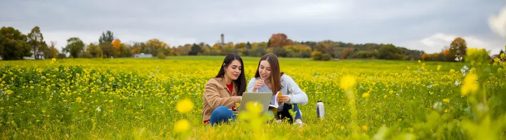 Studierende lernen auf einer Frhlingswiese