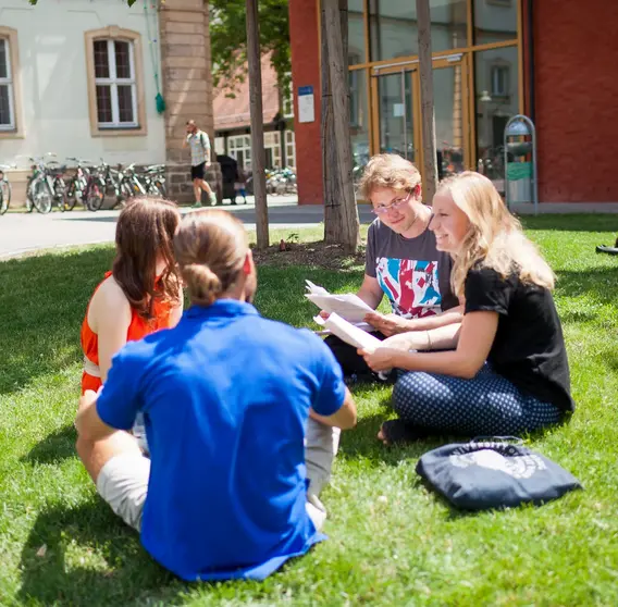 Studierende sitzen auf der Wiese am Burgershof und lernen gemeinsam